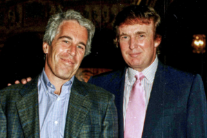 The Octopus Murder Conspiracy Proves Military Industrial Complex Will